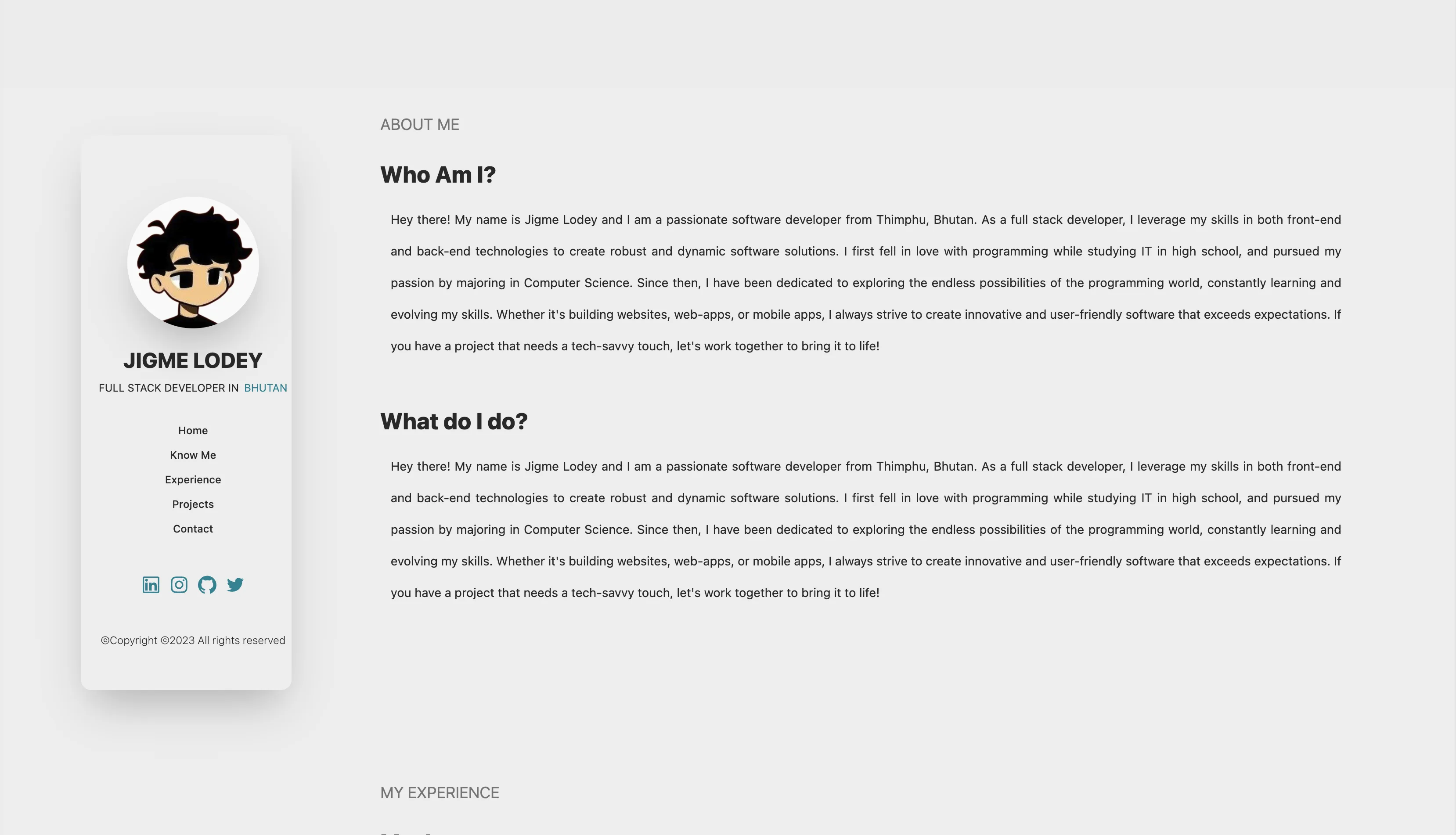 Portfolio detail