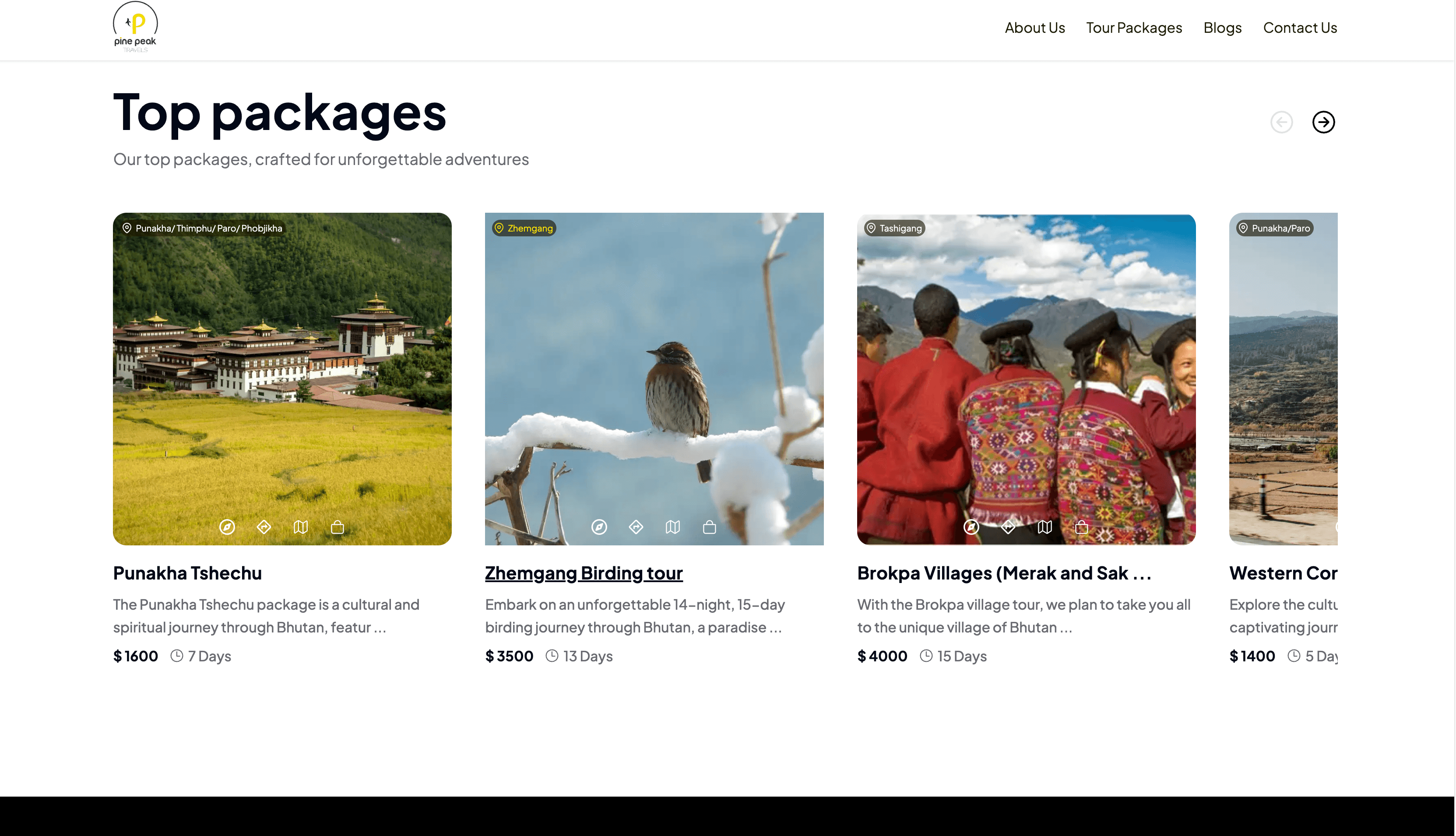 Pine Peak Travels detail